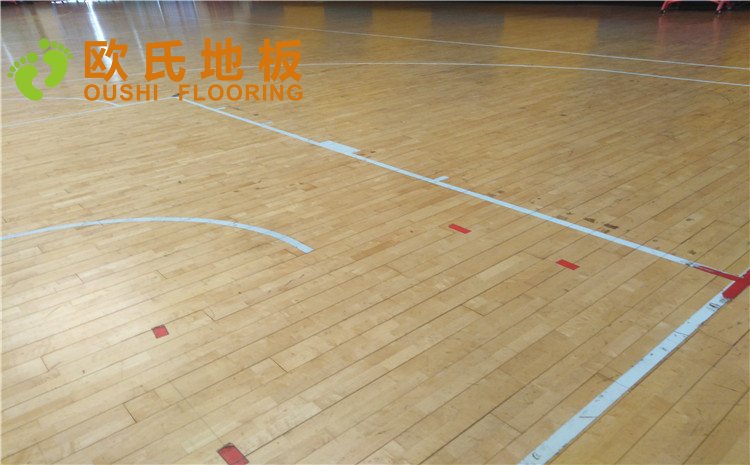 北京市亞洲殘疾人體育訓(xùn)練中心木地板圖片