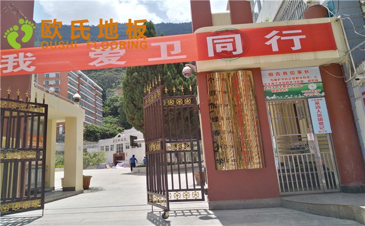 云南省紅河州綠春小學體育館木地板項目